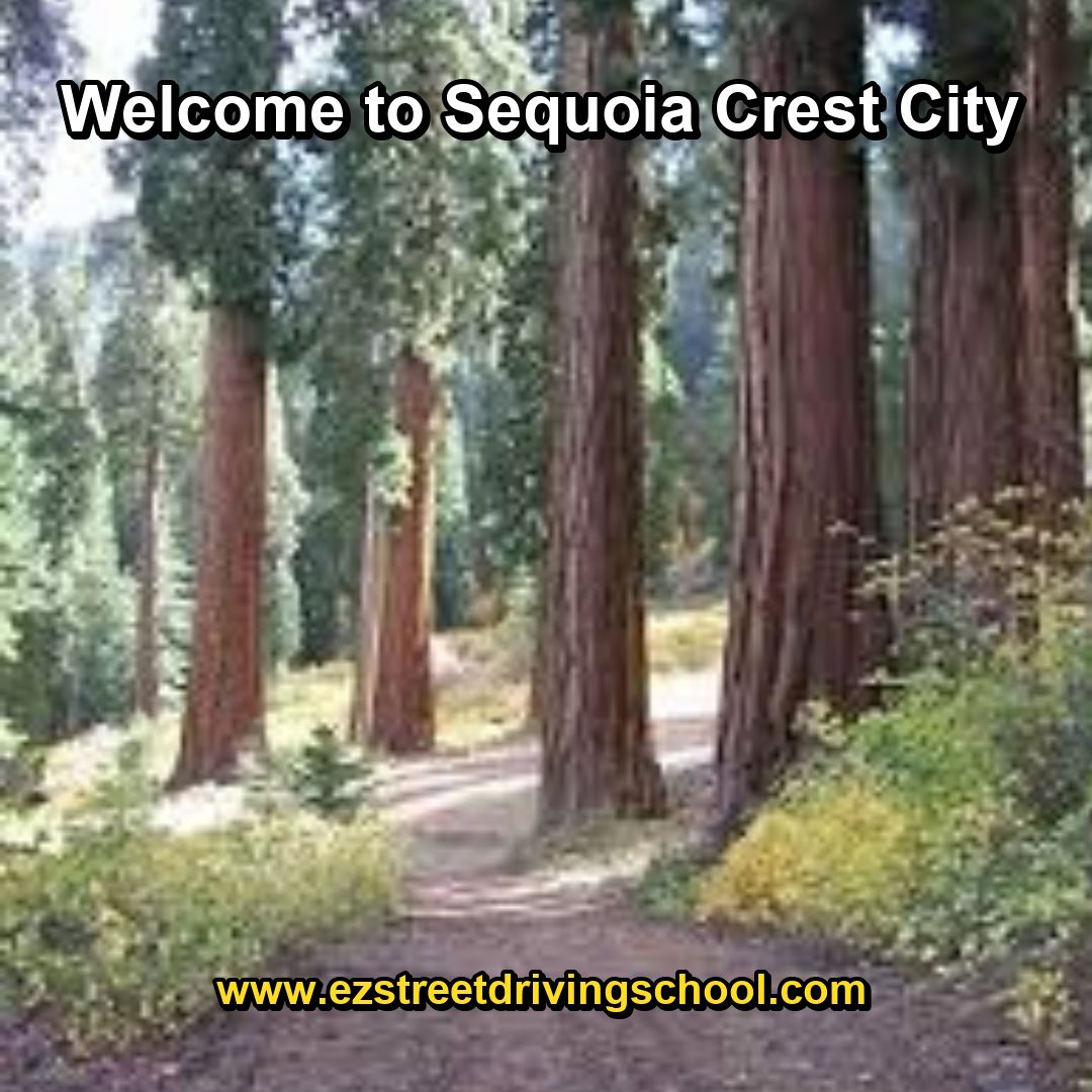 Driving Lessons in Sequoia Crest